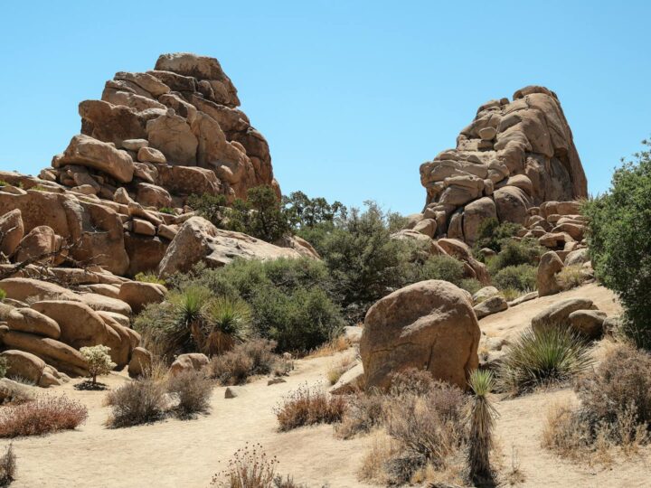 Park Cytadeli
